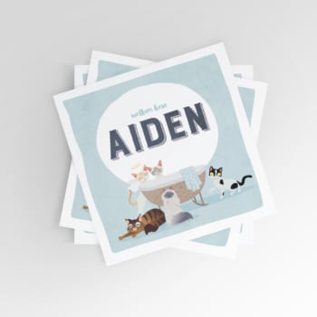 Mockup_Aiden_350x350_acf_cropped
